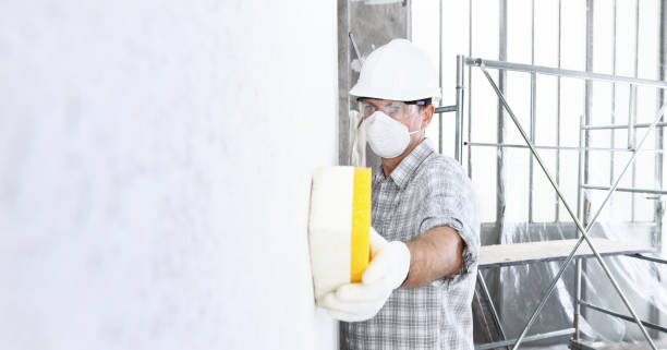 Best Black Mold Removal  in USA